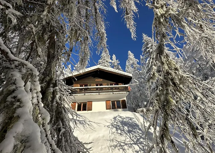 Soldanella - Bel205 By Interhome Бельвальд