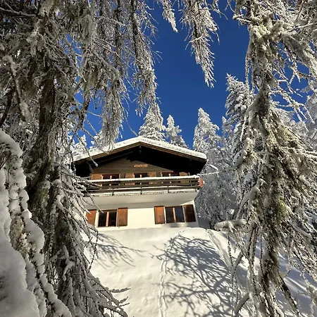 Soldanella - Bel205 By Interhome Bellwald